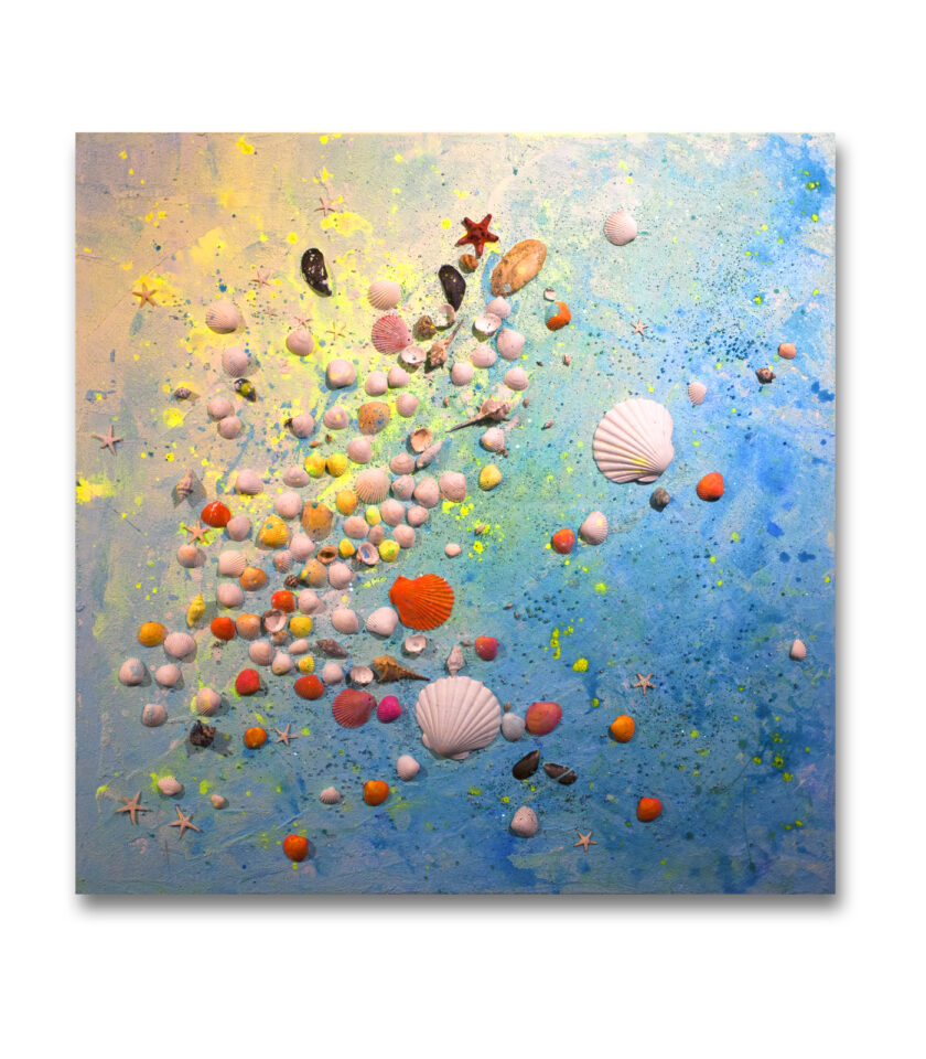 Sea Shells UV