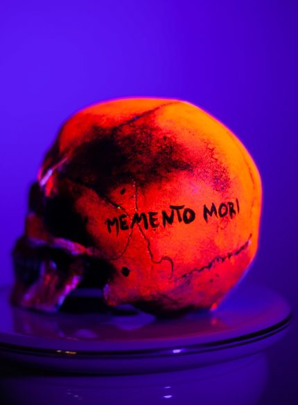 Skull -Memento Mori