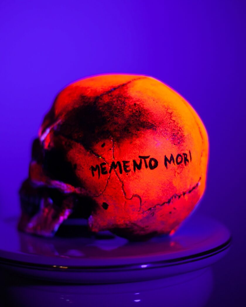 Skull -Memento Mori - Image 9