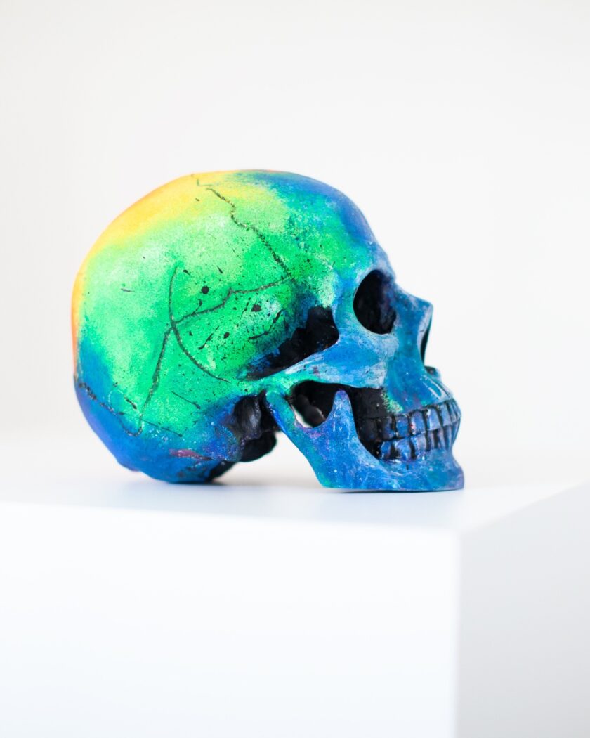 Skull -Memento Mori - Image 3
