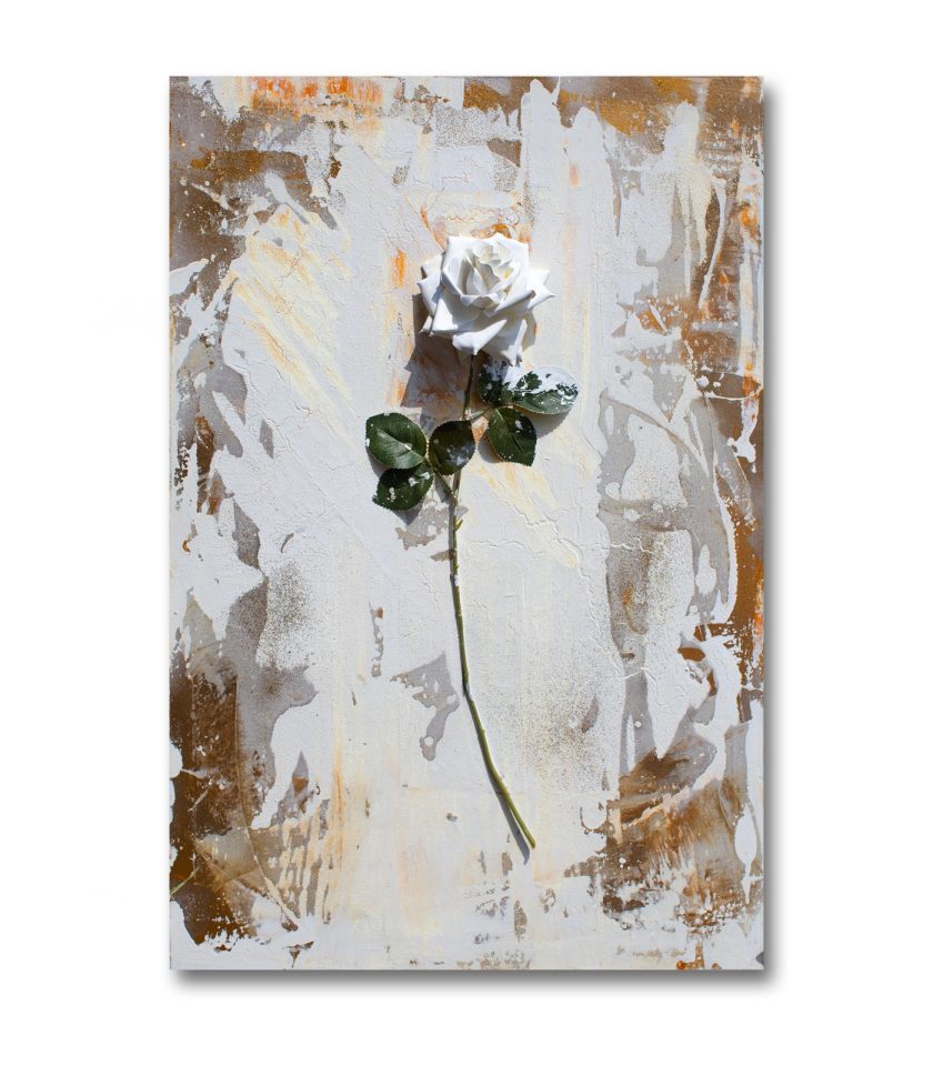 White Rose 3D