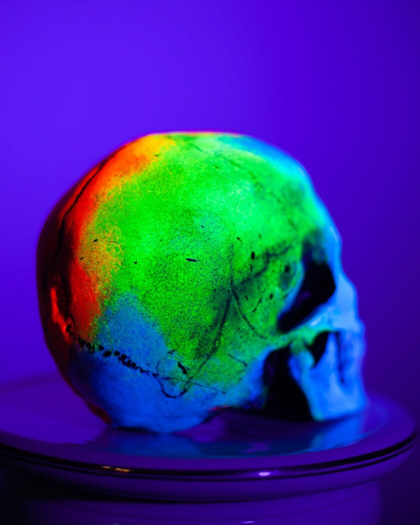 Skull -Memento Mori - Image 10