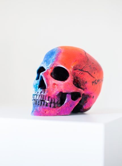 Skull -Memento Mori