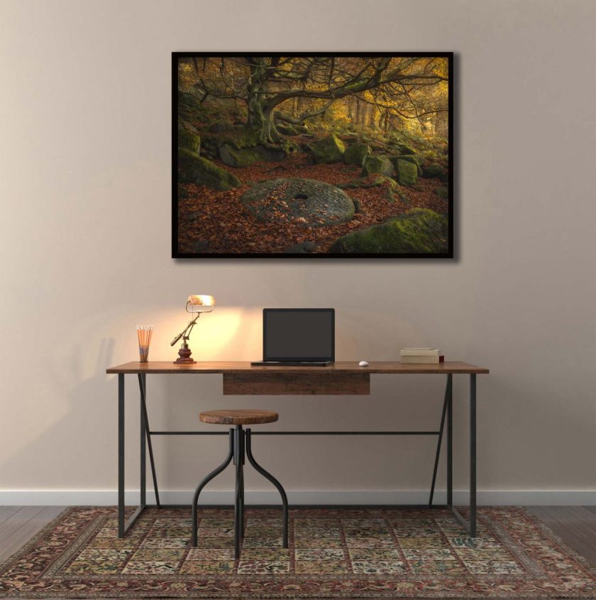 Darkest forest - Image 2