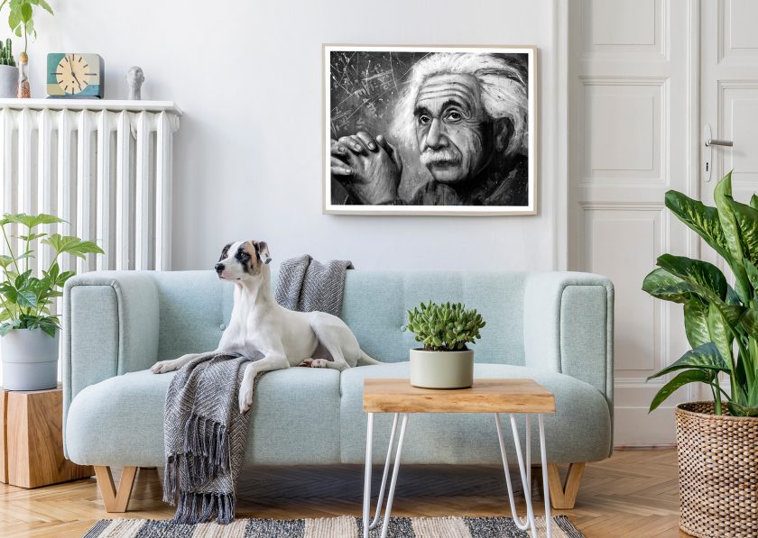 Albert Einstein - Image 4