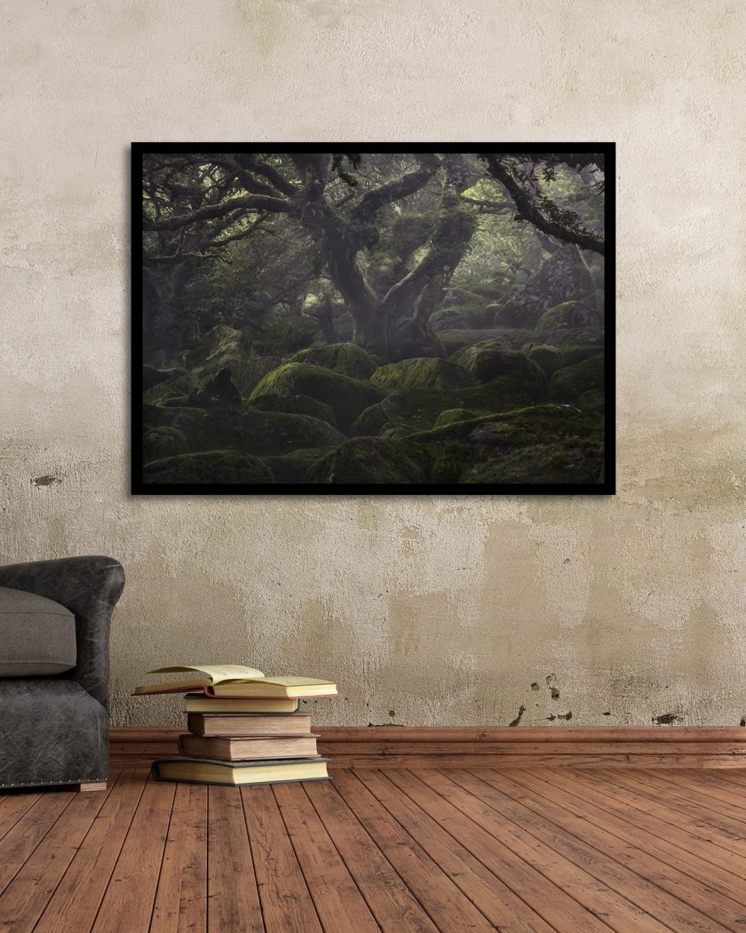 Wistman wood - Image 5
