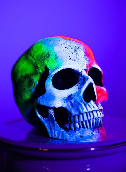 Skull -Memento Mori