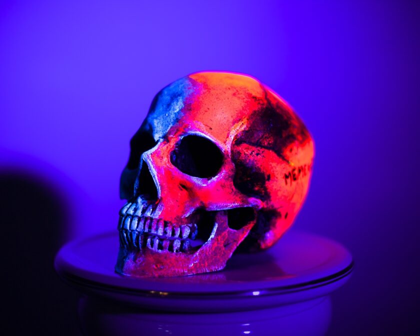 Skull -Memento Mori - Image 7