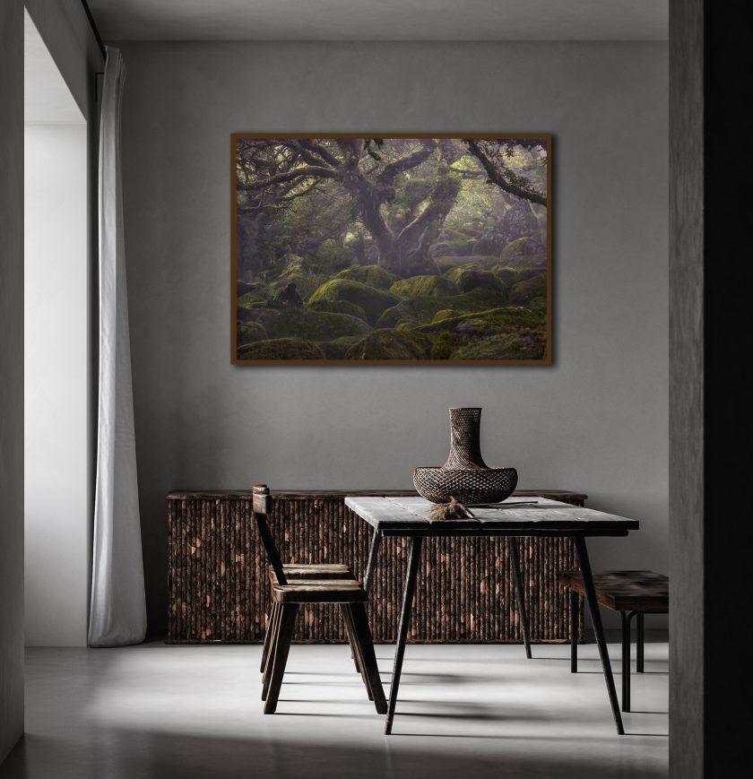 Wistman wood - Image 2