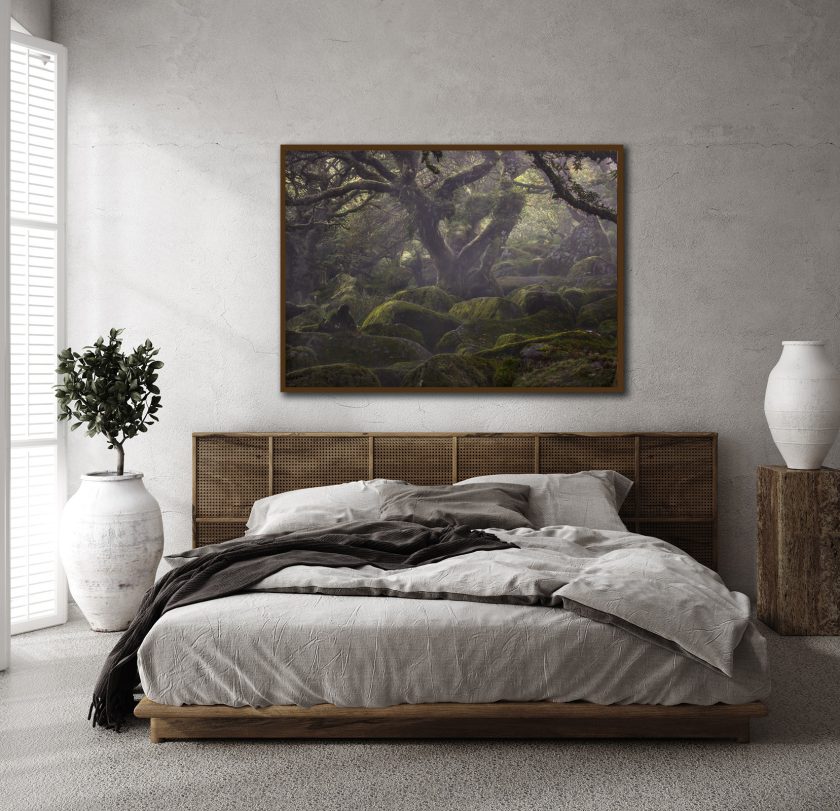 Wistman wood - Image 3