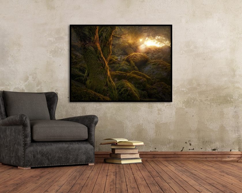 Wistman wood II - Image 2