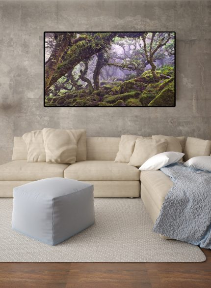 Forest of a thousand souls -Peak District