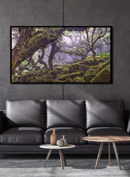 Forest of a thousand souls -Peak District