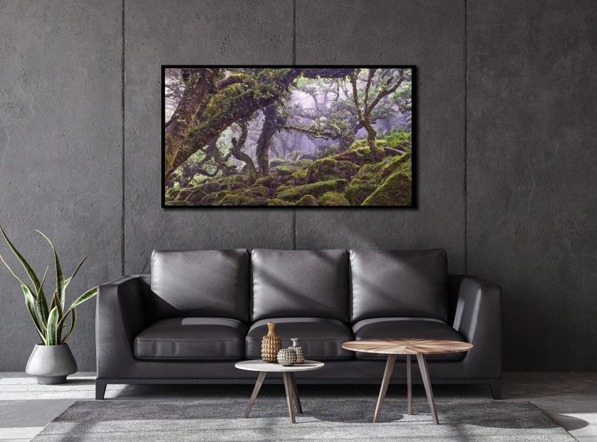 Forest of a thousand souls -Peak District - Image 2