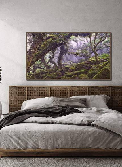 Forest of a thousand souls -Peak District