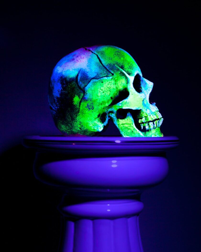 Skull -Memento Mori - Image 4