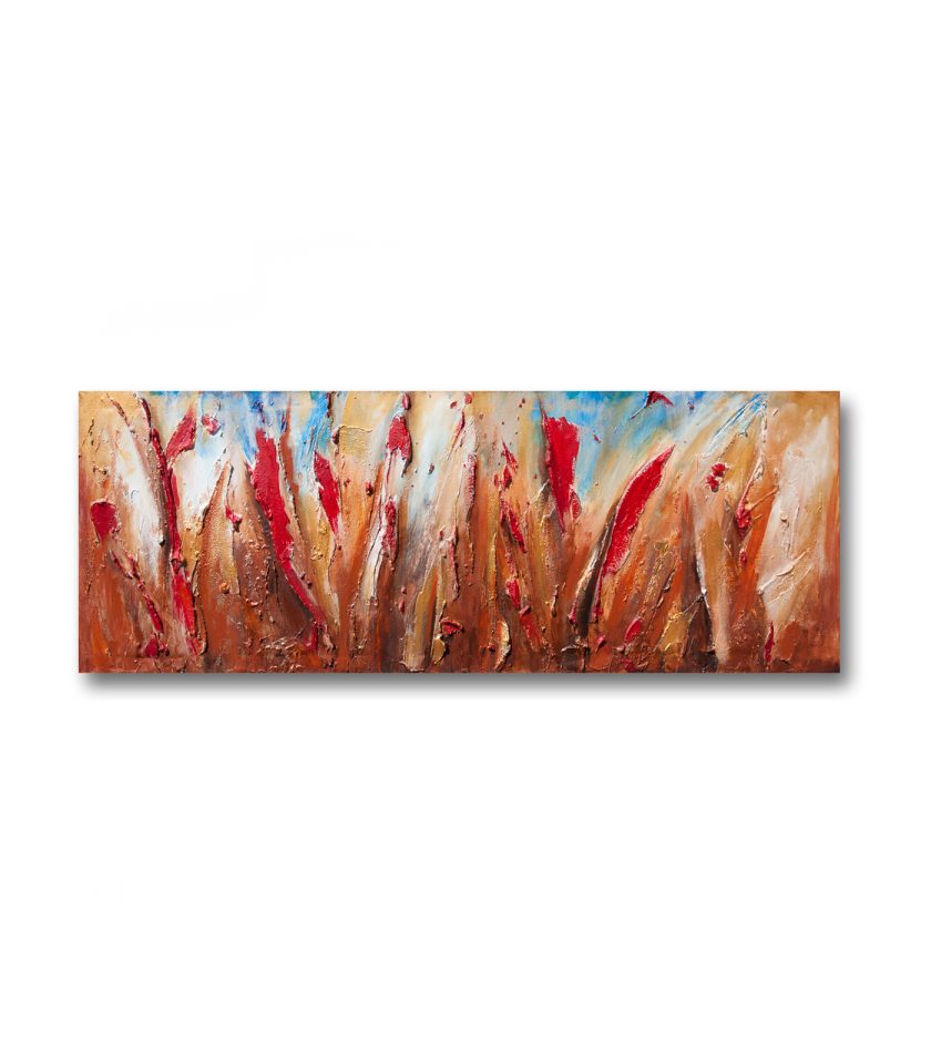 Meadow with red flowers