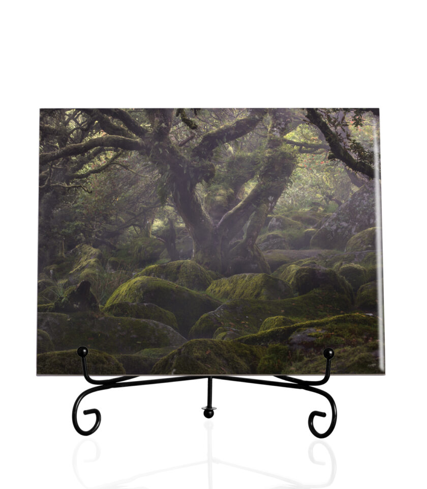 Forest of a thousand souls -Tile