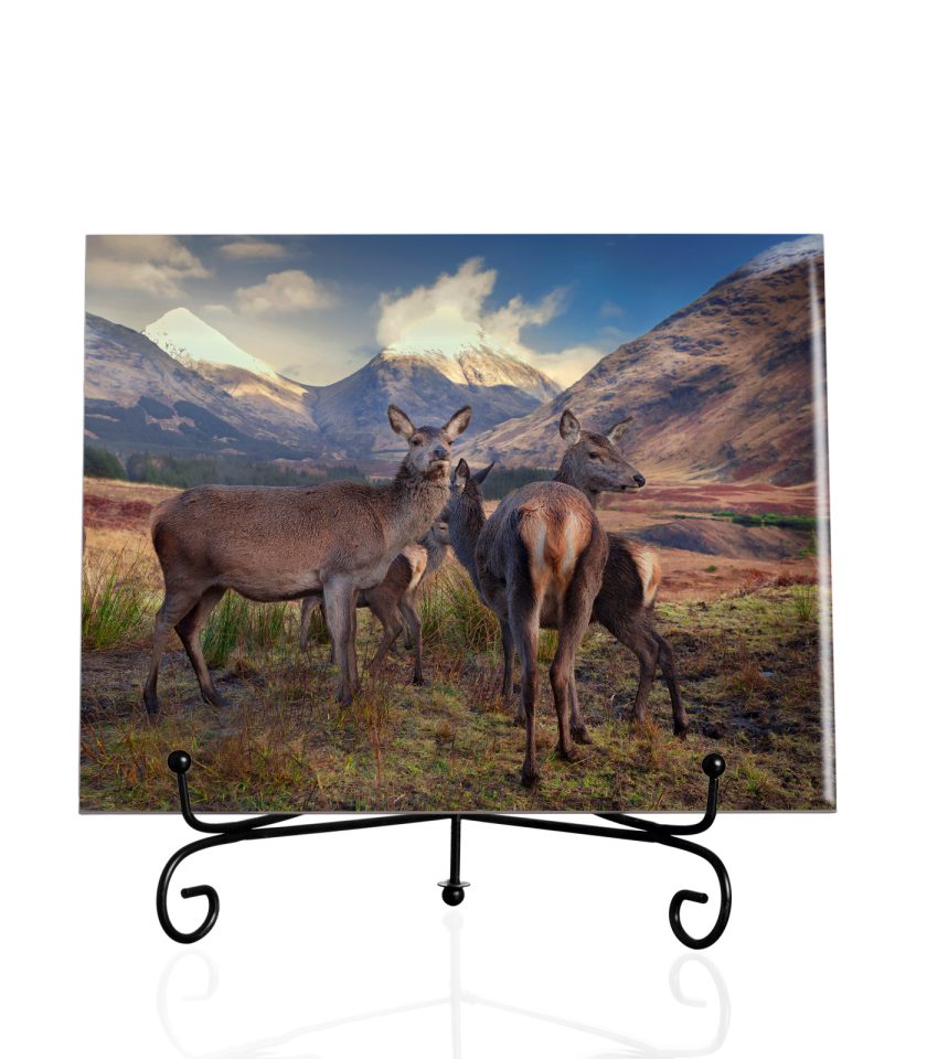 Deer-Tile