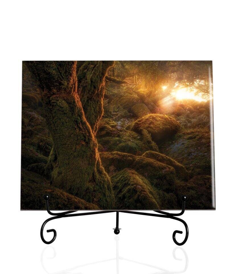 Dark forest-Tile