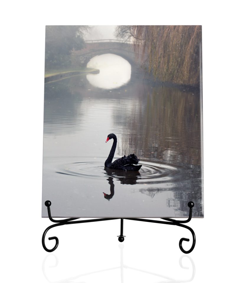 Black Swan-Tile - Image 2
