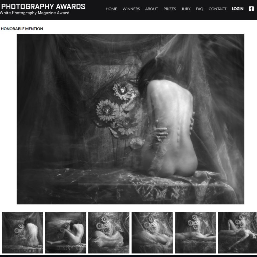 Muse-Tile - Image 5