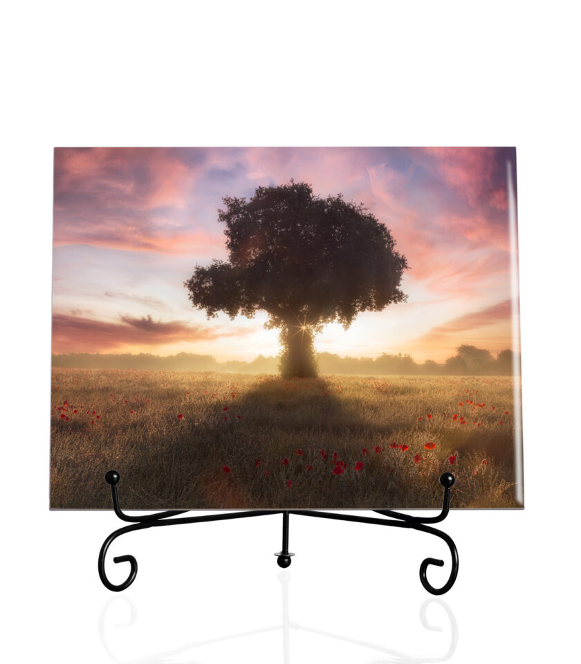 Poppies art -Tile