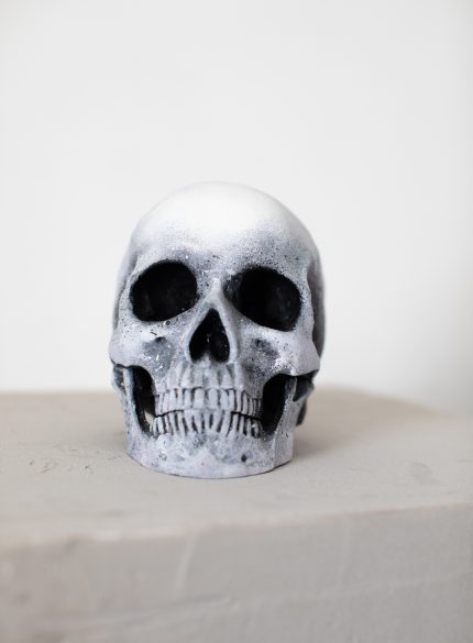 Vase, Rose and Skull