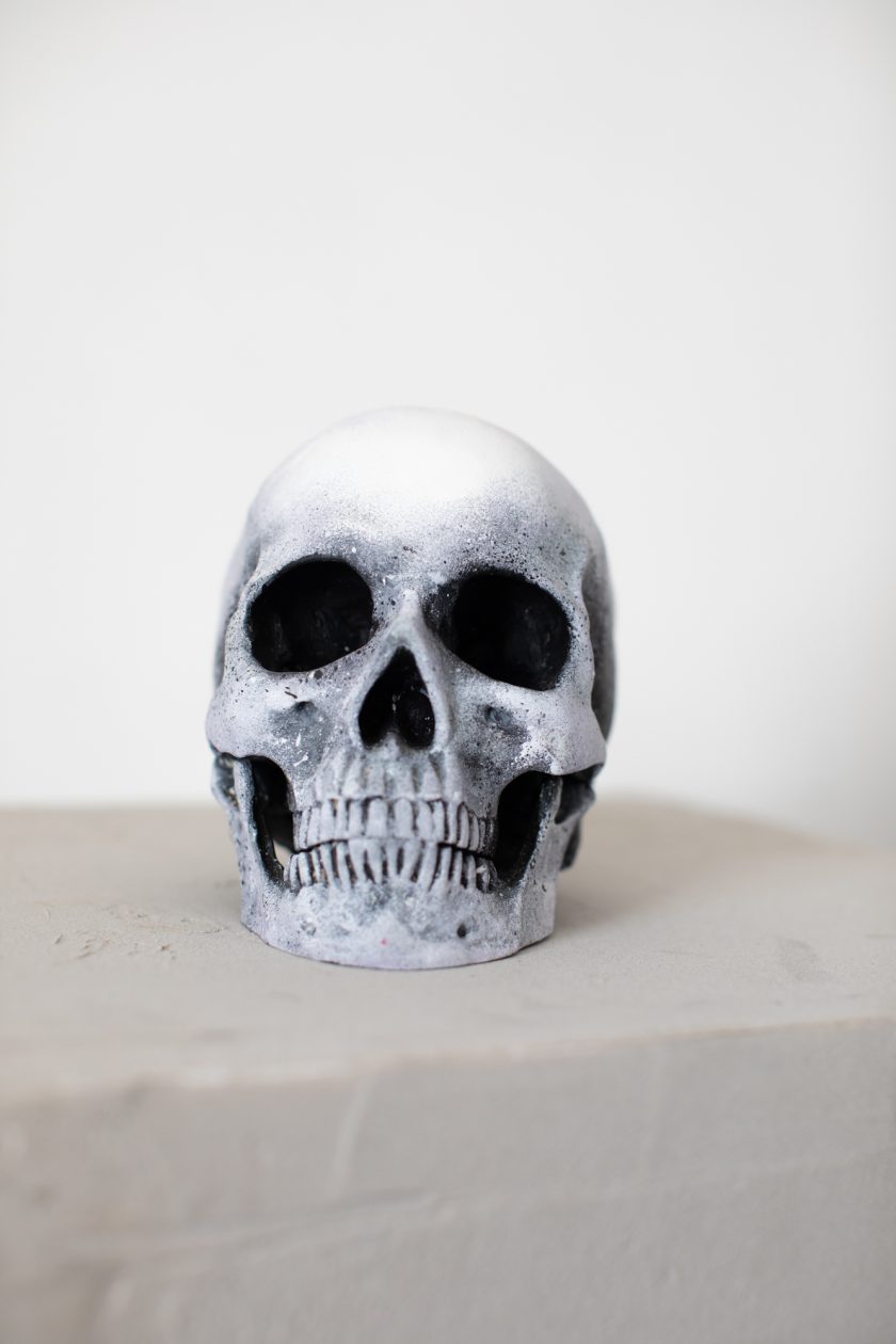 Vase, Rose and Skull - Image 5