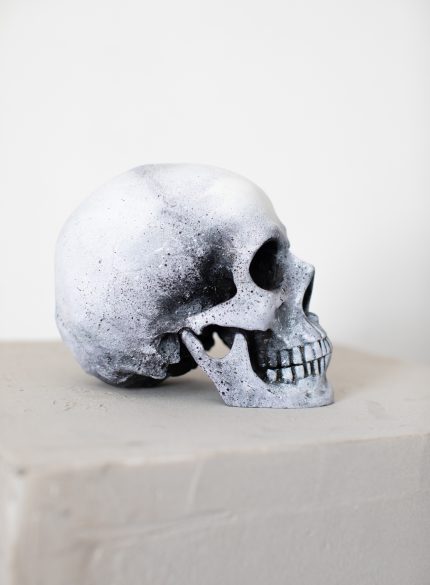 Vase, Rose and Skull