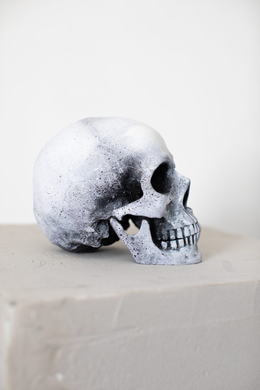Vase, Rose and Skull - Image 3