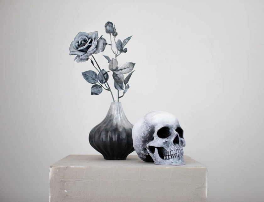 Vase, Rose and Skull