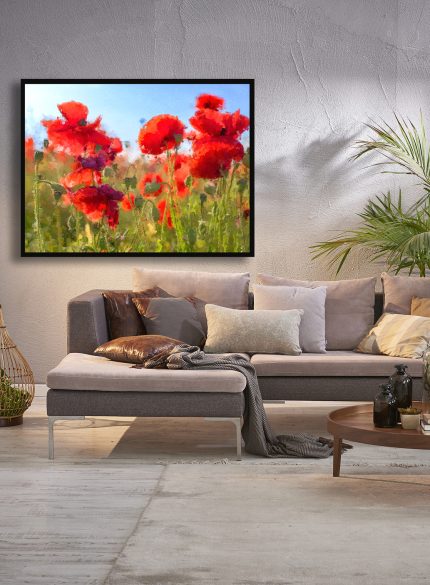 Red Poppies