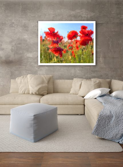 Red Poppies