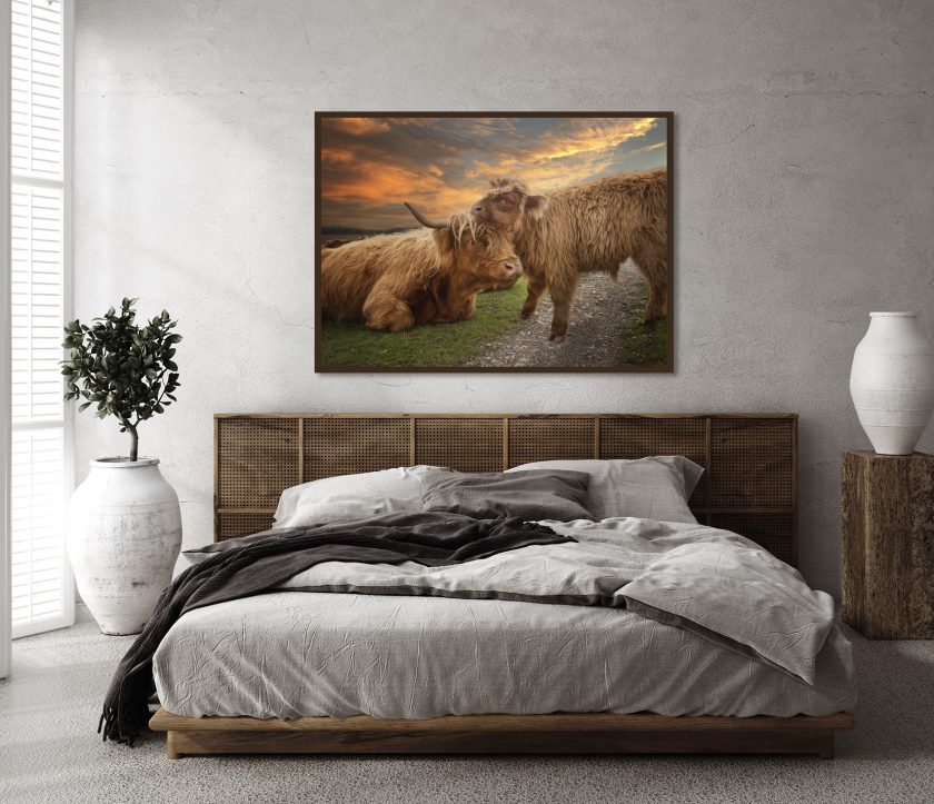 Highland cow with a calf - Image 4