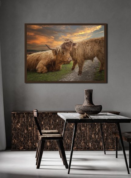 Highland cow with a calf