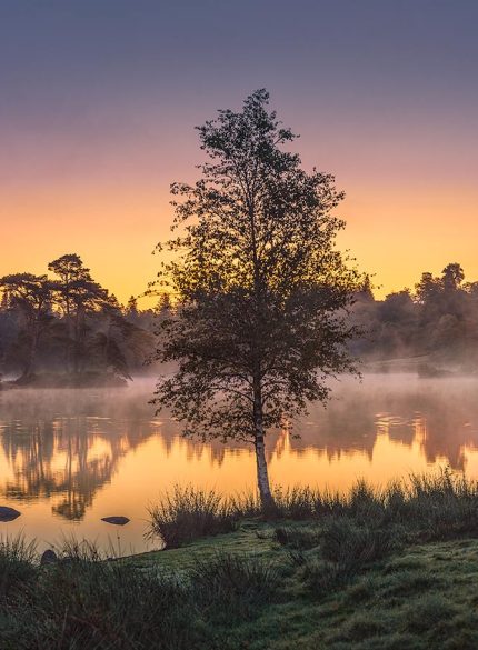Hamble side - Lake District