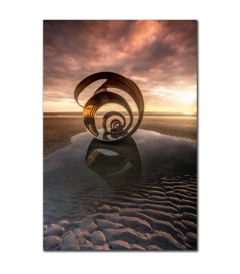 Mary's Shell