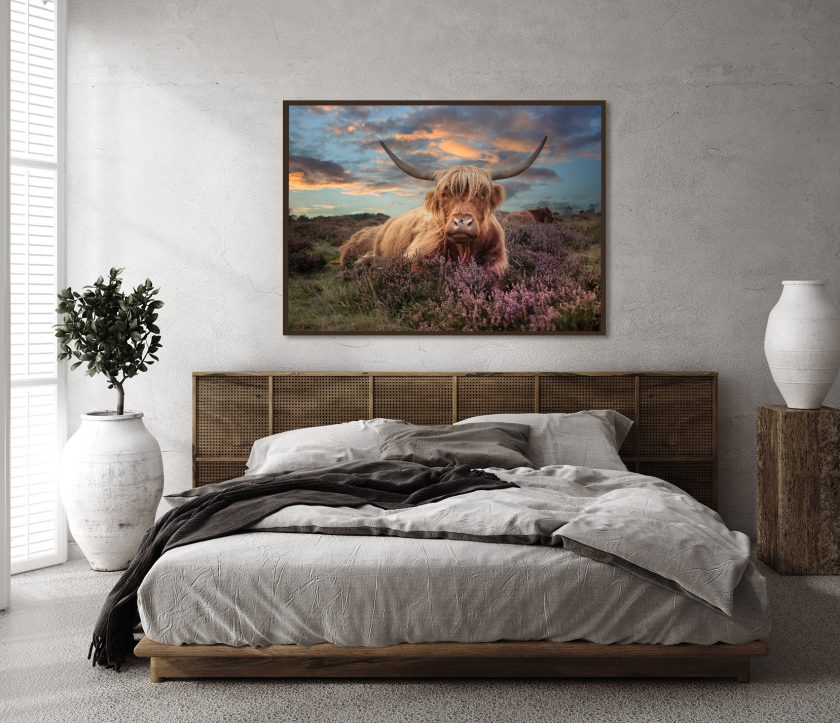 Highland cow II - Image 2