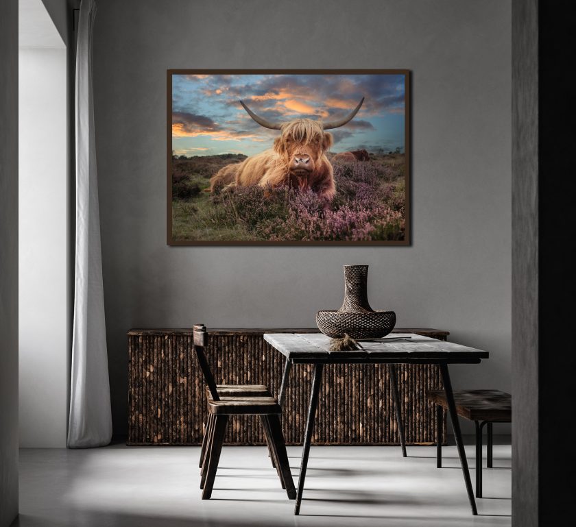 Highland cow II - Image 3