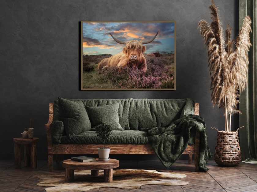 Highland cow II - Image 4