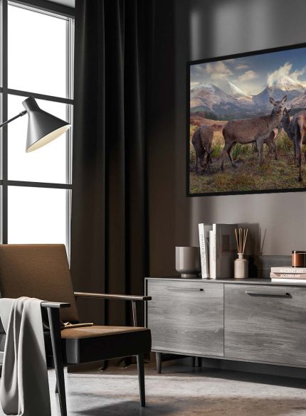 Deers Highlands Scotland