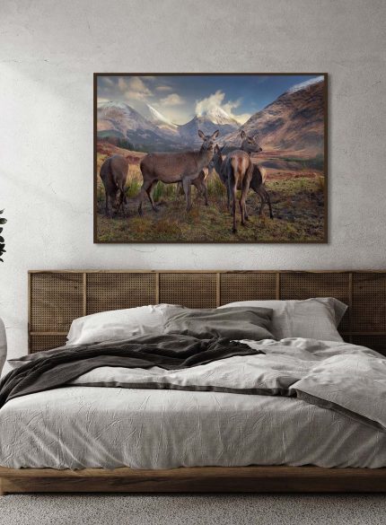 Deers Highlands Scotland