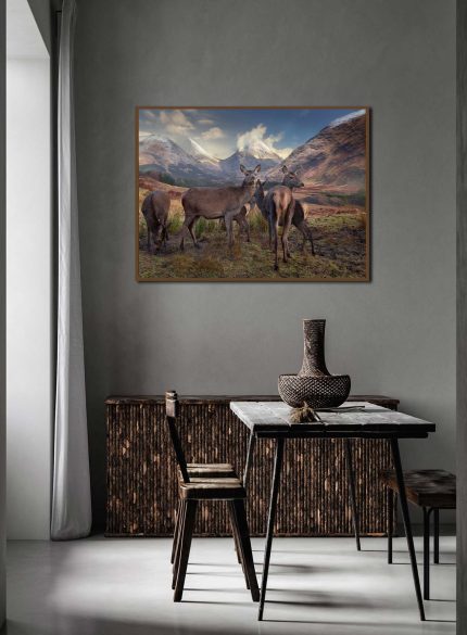 Deers Highlands Scotland