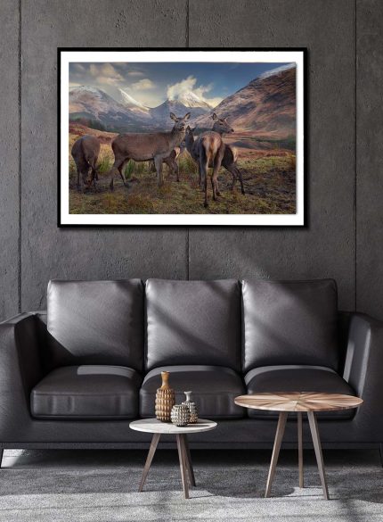 Deers Highlands Scotland