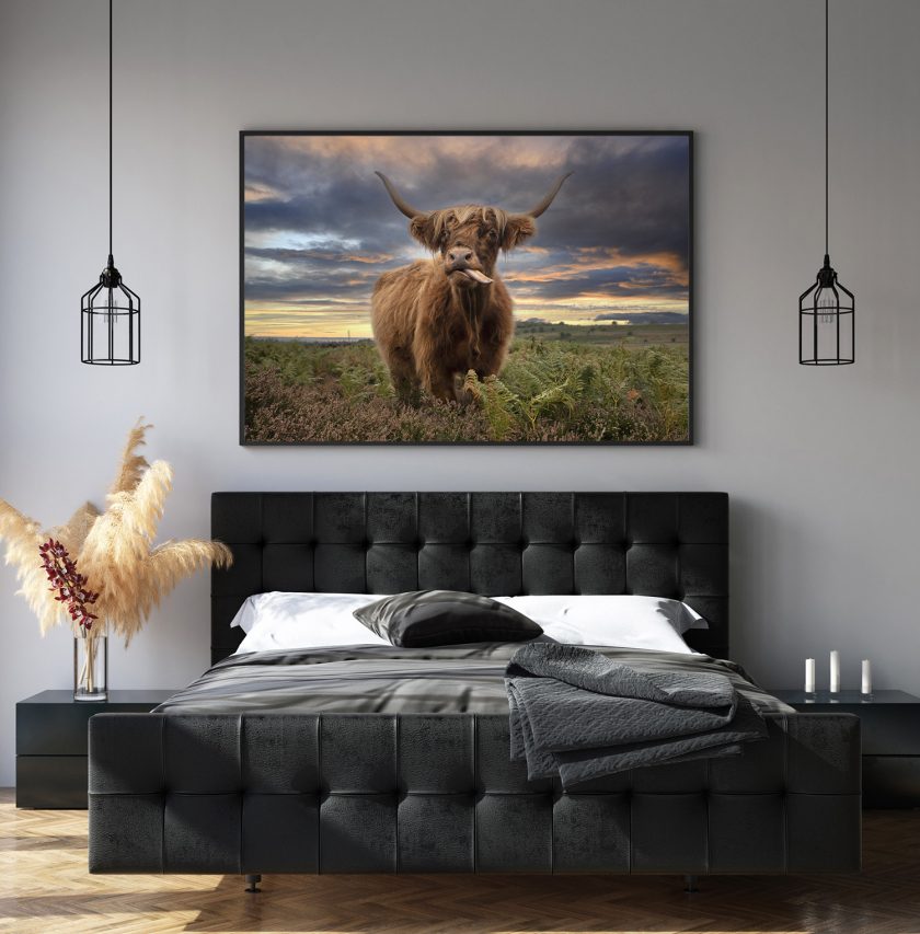 Highland cow I - Image 3