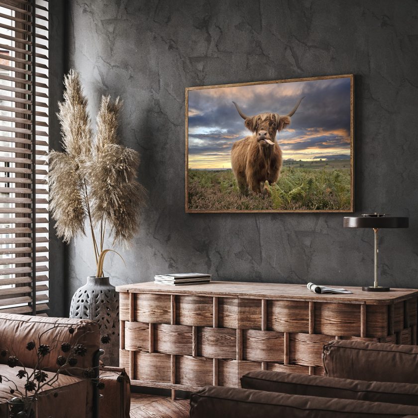 Highland cow I - Image 4