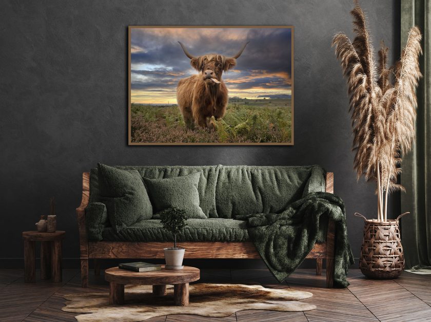 Highland cow I - Image 5