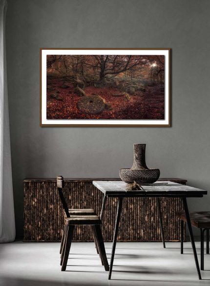 Forest Autumn - Peak District