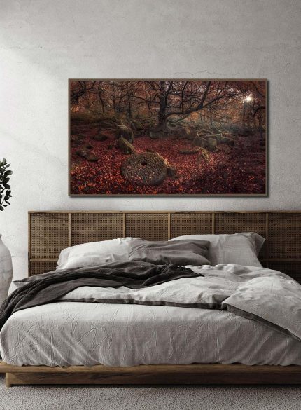 Forest Autumn - Peak District